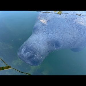 Meet your Posher, Gail